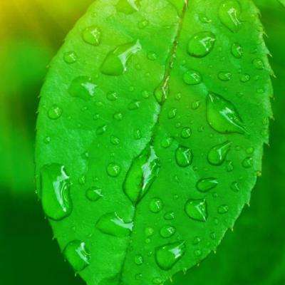 ROR体育官网登录入口