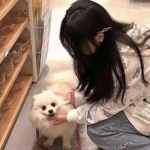 半岛bob·体育官方网站